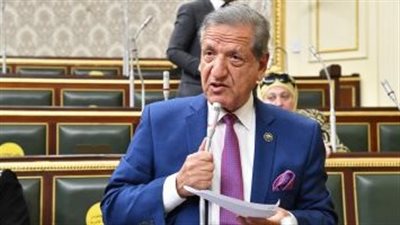 النواب» يوافق على قرض بملياري دولار من 3 بنوك أجنبية رسميا