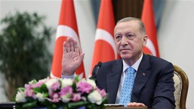 أردوغان يزور مصر غدًا لحضور قمة منظمة الدول الثماني النامية ويلتقي بالرئيس السيسي