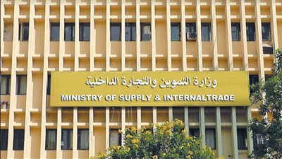 تعيين محمد عادل شتا مساعداً لوزير التموين للخدمات الرقمية