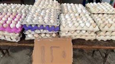 طرح كرتونة البيض البلدي بـ120 جنيها فى معرض محافظة الجيزة للسلع بالمنيب 
