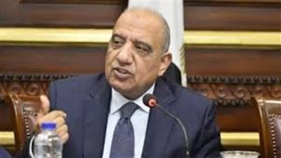 وزير الكهرباء يبحث مع مدير الوكالة الدولية للطاقة المتجددة تدريب وتأهيل الكوادر