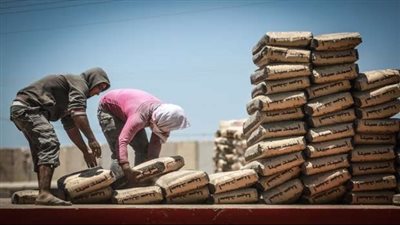 أسعار الحديد والأسمنت في مصر  اليوم 24يناير