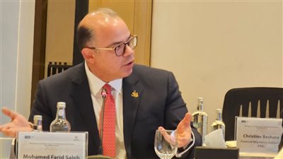 رئيس هيئة الرقابة المالية يشارك في الاجتماعات الدورية للمجموعة الاستشارية لمجلس الاستقرار المالي