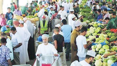 الزراعة تعلن تصدير 52 ألف طن موالح الأسبوع الماضي