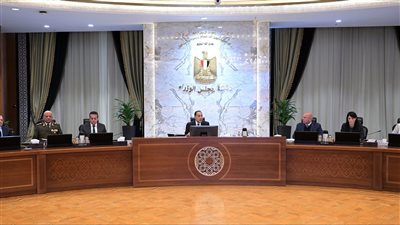 الوزراء: استمرار جهود مصر لضمان تنفيذ اتفاق وقف إطلاق النار في غزة