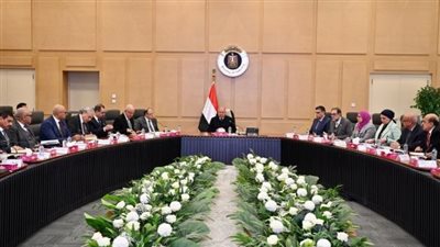 وزير الصناعة يترأس اجتماعًا لحل معوقات صناعة الأدوية في مصر  