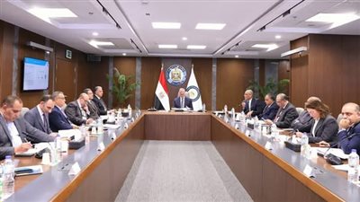 وزير البترول: مشروعات البتروكيماويات تدعم توطين الصناعات وتقليل الاستيراد