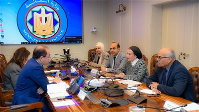 وزير المالية :«تحويل المخلفات إلى طاقة» يدعم جهود مصر للوفاء بالتزاماتها الدولية