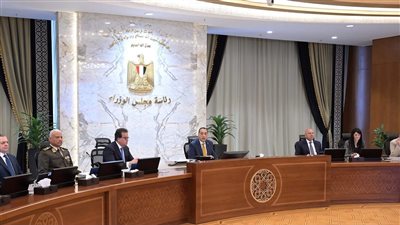 مجلس الوزراء: دعم عربي لخطة مصر لإعمار غزة  