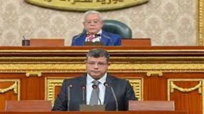 مجلس النواب المصري يوافق على اتفاقية تشجيع وحماية الاستثمارات بين مصر والسعودية