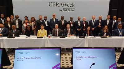 وزير البترول  يدعو إلى شراكات استراتيجية لتعزيز استثمارات الطاقة في أفريقيا