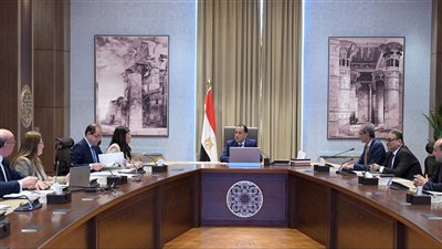 رئيس الوزراء يتابع جهود فض التشابكات المالية بين “البريد” وبنك الاستثمار القومي