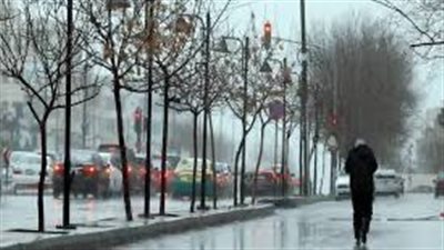 الأرصاد الجوية: بدء فصل الربيع في مصر اليوم 20 مارس