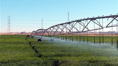 راميدا ضمن أكبر 10 شركات دواء في مصر وتطلق “جلو” للتجميل