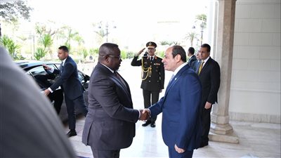السيسي: مياه النيل قضية وجودية لمصر وندعو لتعزيز التوافق بين دول الحوض