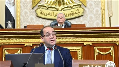 وزير المالية: 160 مليار جنيه لدعم التموين و150 مليارًا للطاقة