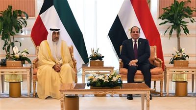عاجل..الرئيس السيسي وولي عهد الكويت يؤكدان رفض تهجير الفلسطينيين