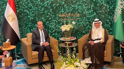مصر والسعودية تبحثان تعزيز الشراكة الاستراتيجية في الطاقة والصناعة