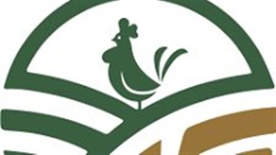 ارتفاع أرباح “المنصورة للدواجن” 42.4% خلال 2024 بدعم نمو الإيرادات