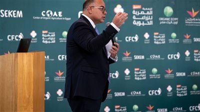 محمد فريد: مجابهة تغير المناخ معركة وجود..