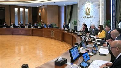 اتفاق لتأسيس شركتين بمليار و700 مليون جنيه لإنتاج الفيبربوليستر واللباد الصناعي 