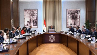  الوزراء يستعرض مشروع تطوير المنظومة الإلكترونية لتيسير دخول السائحين إلى المطارات المصرية