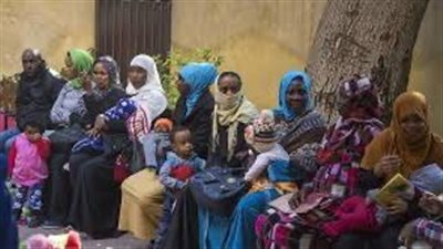 فخري الفقي: 6 مليارات دولار تكلفة استضافة اللاجئين والضيوف العرب في مصر