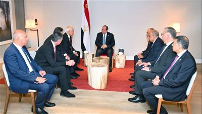 السيسي يبحث مع رئيس مجموعة “كوبولوزيس” مشروع الربط الكهربائي بين مصر وأوروبا