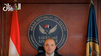 وزير المالية: القطاع الخاص يواصل التوسع بنسبة 80% نموًا في استثماراته