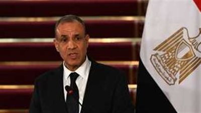 وزير الخارجية :مصر تدعو الشركات الأمريكية والأوروبية لمؤتمر إعمار غزة