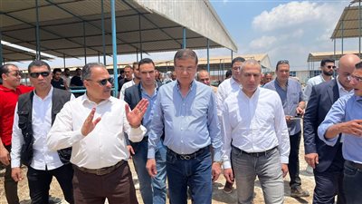  الزراعي المصري يمول شراء 2000 رأس ماشية بقيمة 395 مليون جنيه 