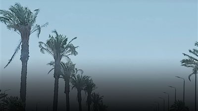 الأرصاد”: انخفاض ملحوظ في الحرارة بعد ذروة الموجة الحارة