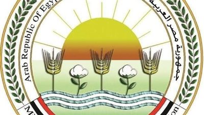  الزراعة تؤكد استقرار صناعة الدواجن في مصر وعدم تسجيل حالات نفوق 