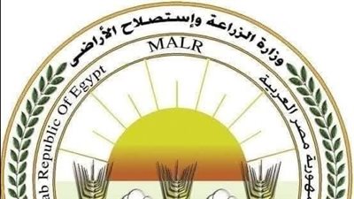 “الزراعة”: المجازر الحكومية تستقبل أكثر من 28 ألف أضحية خلال 3 أيام 