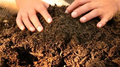 «سماد مصر» تنفي وجود معلومات جوهرية وراء تحركات سهم الشركة