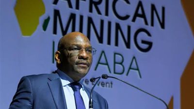 أفريكسيم بنك: دعم المؤسسات المالية الإفريقية ضرورة للتصدي للصدمات العالمية