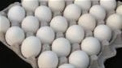 ارتفاع أسعار البيض بالسوق المحلية.. وكرتونة الأحمر تسجل 140 جنيهًا للمستهلك