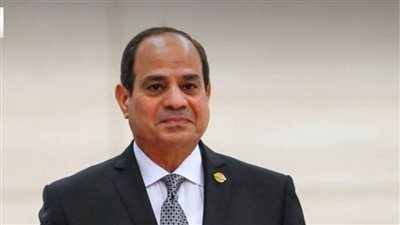 الرئيس السيسي يوجه بزيادة التعويضات لضحايا حادث طريق أشمون