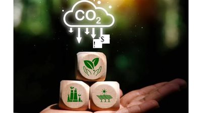 دور التأمين في تغطية المخاطر المرتبطة بإصدار و تداول شهادات الكربون
