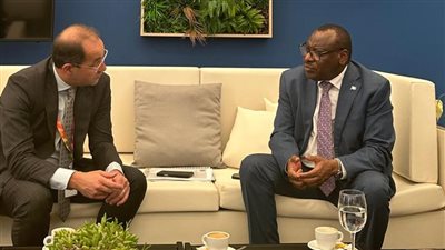 وزير المالية:التحول نحو الاقتصاد الأخضر والرقمي يتطلب آليات تمويلية مرنة ومستدامة