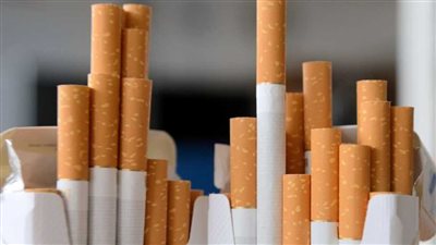 شعبة الدخان: زيادة أسعار سجائر وينستون والنخلة لـ67 جنيها