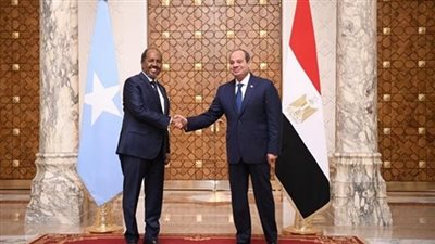 الرئيس السيسي يستقبل رئيس الصومال.. ويؤكد دعم مصر لاستقرار القرن الأفريقي