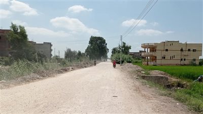 9 قرى بالمحمودية تتأثر بانقطاع التيار اليوم بسبب أعمال فنية