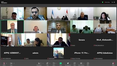 «الحجر الزراعي» يعلن انطلاق أول شحنة تقاوي بطاطس ميني تيوبر إلى أوزبكستان