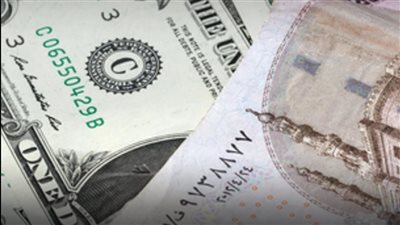 استقرار سعر الدولار أمام الجنيه عند 49 جنيهًا في البنوك المصرية