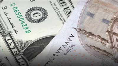 استقرار سعر الدولار في بداية تعاملات أغسطس..و48.74 جنيه أعلى سعر للبيع