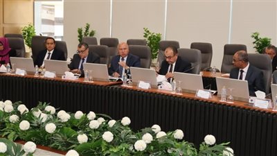 المجلس الأعلى للطاقة يوافق على توفير الطاقة لـ14 مشروعًا صناعيًا جديدًا وخطوط إنتاج إضافية