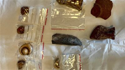 مصر تتسلم مجموعة من القطع الأثرية من هولندا تنتمي لحقب زمنية مختلفة من الحضارة المصرية القديمة