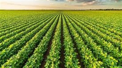 انتهاء فترة تداول حقوق اكتتاب “الدولية للمحاصيل الزراعية – 2”