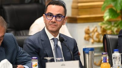 48.2 زيادة فى الصادرات المصرية إلى الدنمارك